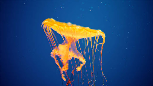 芯片封装测试流程详解 芯片封装测试流程详解